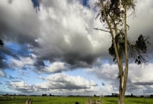 包含天美麻豆星空大象的词条